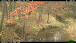 Fern Valley Bridge Camera 7/10/2012