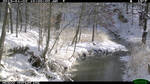 Fern Valley Bridge Camera 01-02-2013