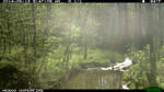 Fern Valley Bridge Camera 11-20-13