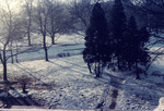 Winter Morning From My Room (Late Winter) by Lee Lybarger