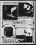 The Wooster Voice (Wooster, OH), 1981-04-24 by Wooster Voice Editors